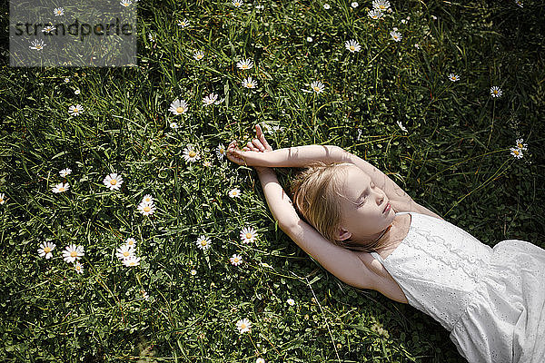Kleines Mädchen im Blumenfeld liegend