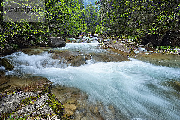 Italien  Trentino  Fluss Travignolo  Parco Naturale Paneveggio Pale di San Martino  Val Di Fiemme