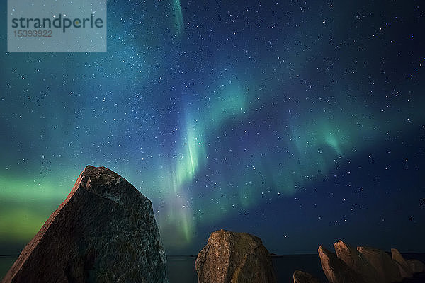 Norwegen  Lofoten  Eggum  Nordlicht am Sternenhimmel