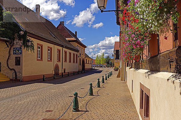 Rue de la Première Armée  Lauterbourg  Elsass  Frankreich  Europa