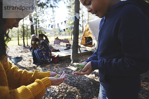 Bruder und Schwester halten Laubfrösche auf einem Campingplatz im Wald