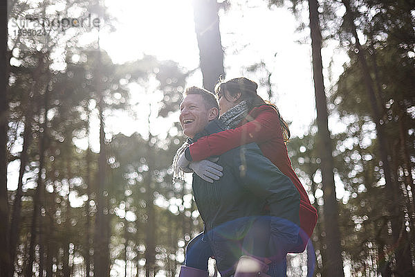 Glückliches  verspieltes Paar  das im sonnigen Wald Huckepack nimmt