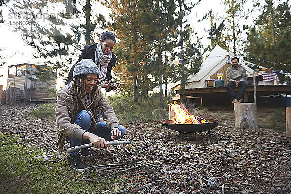 Freunde beim Sammeln von Brennholz auf einem Campingplatz im Wald
