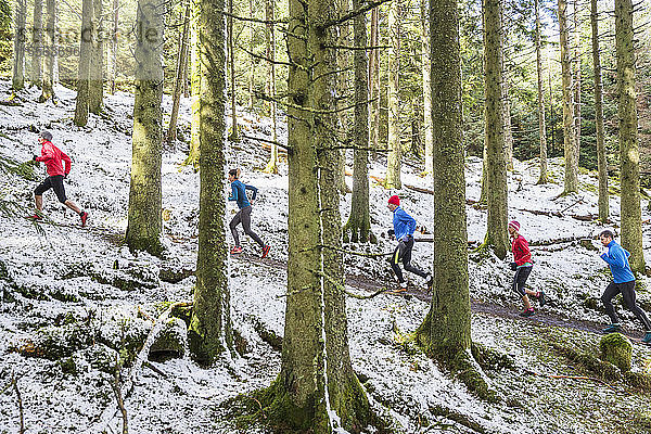 Freunde joggen im verschneiten Wald