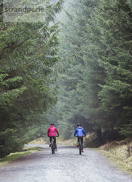 Pärchen beim Mountainbiken im Wald