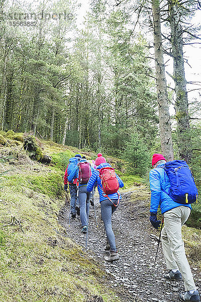 Familie joggt im Wald