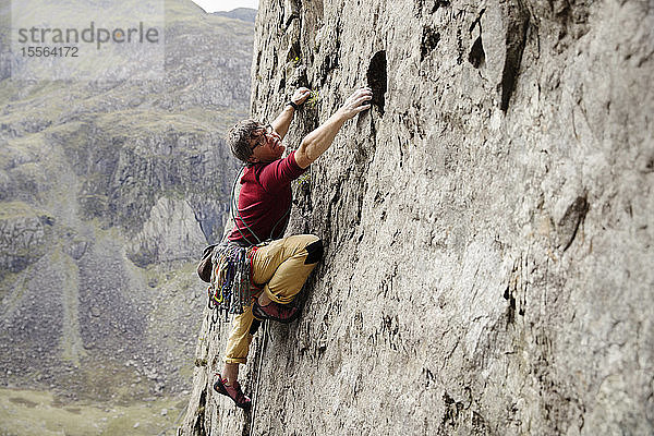 Fokussierter männlicher Kletterer beim Erklimmen einer Felswand