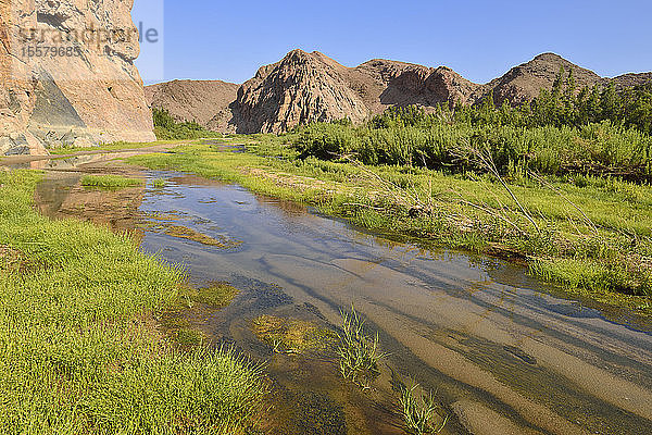 Namibia  Kaokoland  Namib-Wüste  fließendes Wasser und grüne Vegetation entlang des Hoarusib-Flusses