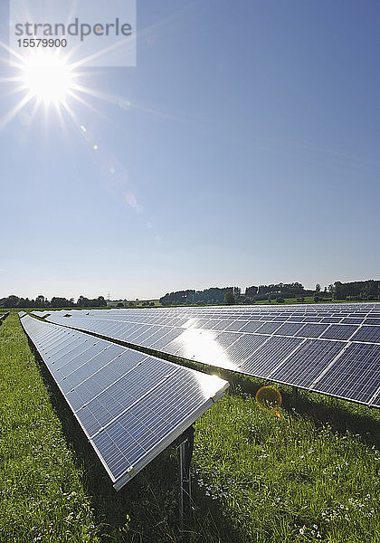 Deutschland  Bayern  Ansicht der Sonnenkollektoren im Feld