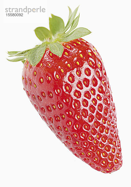 Erdbeere auf weißem Hintergrund  Nahaufnahme