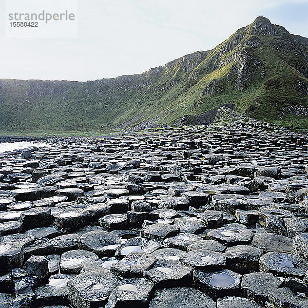 Nordirland  Basaltsäulen an der Küste