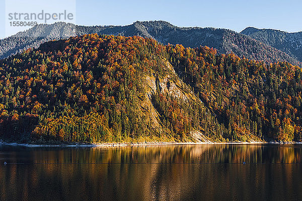 Landschaftlicher Blick auf den Sylvenstein-See gegen den Wald bei klarem Himmel im Herbst  Bayern  Deutschland
