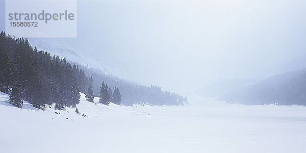 Kanada  Britisch-Kolumbien  Ansicht der Landschaft im Winter