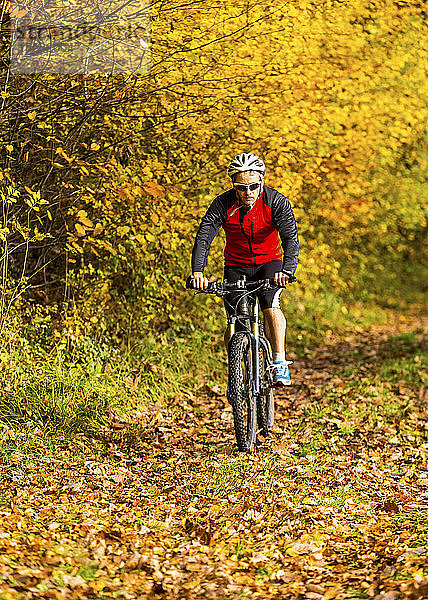 Mann fährt Mountainbike im herbstlichen Wald