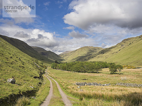 Landschaftliche Ansicht einer Graslandschaft vor bewölktem Himmel an einem sonnigen Tag  Schottland  Großbritannien