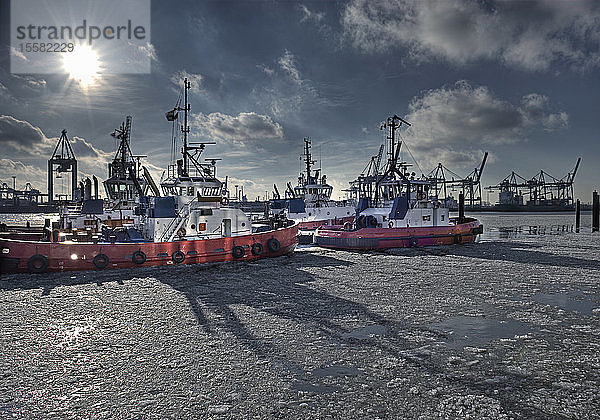 Deutschland  Hamburg  Blick auf Schlepper  die im Hafen auf gefrorenem Wasser vor Anker liegen