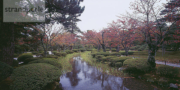 Japan  Blick auf den japanischen Park im Herbst