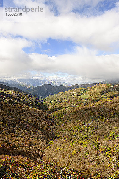 Sapin  Asturien  Mirador de Piedrasluengas  Nationalpark Picos de Europa