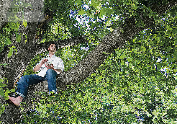 Deutschland  Junger Mann auf Baum sitzend
