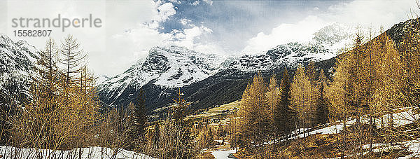 Landschaftliche Ansicht von Bäumen und schneebedeckten Bergen vor bewölktem Himmel in Italien
