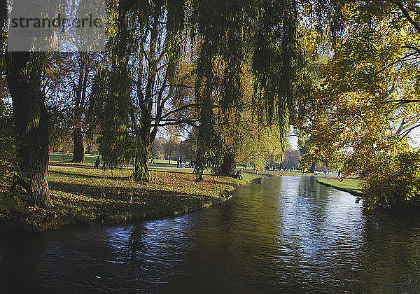 Deutschland  München  Ansicht des Englischen Gartens mit Kanal