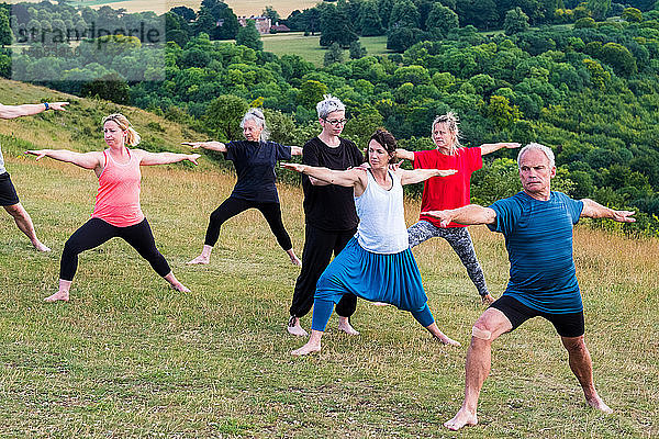 Gruppe von Frauen und Männern  die an einer Yogastunde an einem Berghang teilnahmen.