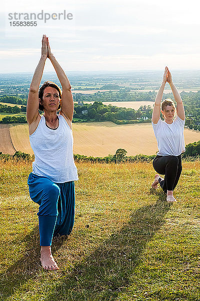 Gruppe von Frauen  die an einer Yogastunde an einem Berghang teilnahmen.