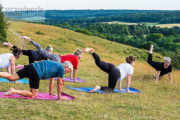 Gruppe von Frauen und Männern  die an einer Yogastunde an einem Berghang teilnahmen.