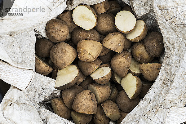 Hochwinkel-Nahaufnahme eines Sacks Kartoffeln für die Pflanzung im Frühjahr.
