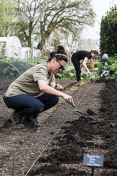 Zwei Frauen  die in einem Gemüsegarten auf einem frisch gepflanzten Erdbett arbeiten.