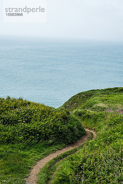 Blick entlang eines Wanderweges auf einer Klippe an der Küste von Pembrokeshire  Wales  Großbritannien.