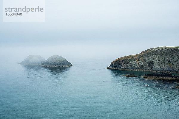 Blick entlang der Küste von Pembrokeshire  Wales  Großbritannien  an einem nebligen Tag.
