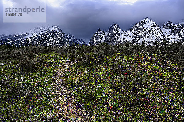 Schneebedeckte Berge bei Buschland im Grand Teton National Park  USA