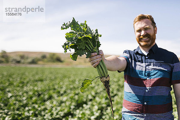 Lächelnder Mann  der eine Gemüseernte auf einem Feld hält