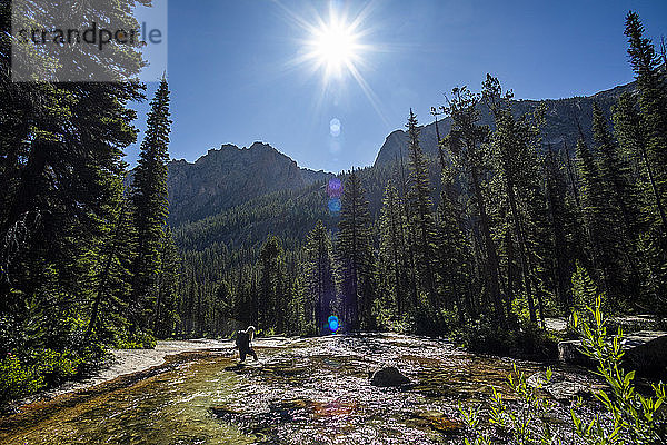 Eine Frau watet durch einen Fluss bei den Sawtooth Mountains in Stanley  Idaho  USA