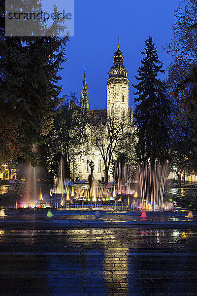 Brunnen bei der Kathedrale St. Elisabeth bei Nacht in Kosice  Slowakei