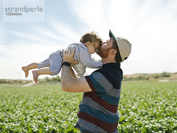 Vater küsst den Kopf eines kleinen Mädchens im Getreidefeld