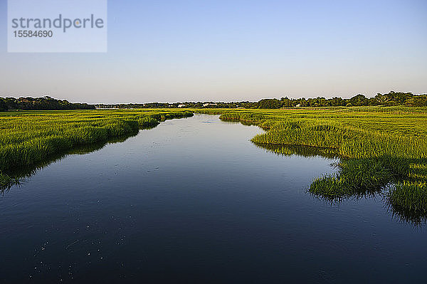 Fluss durch Feuchtgebiet in Dennis  Cape Cod  USA