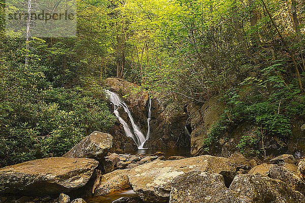 Wasserfall über Felsen im Grayson Highlands State Park  USA