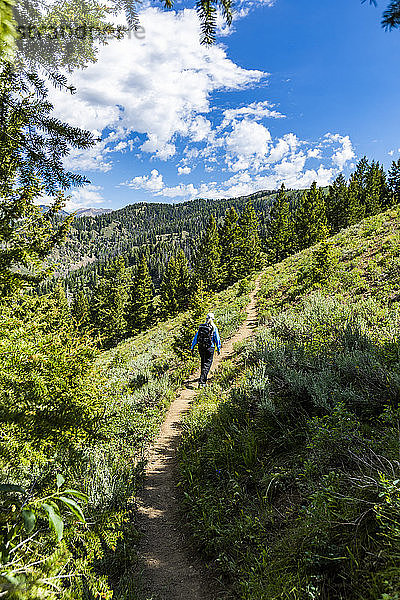 Frau wandert durch den Wald in Sun Valley  Idaho  USA