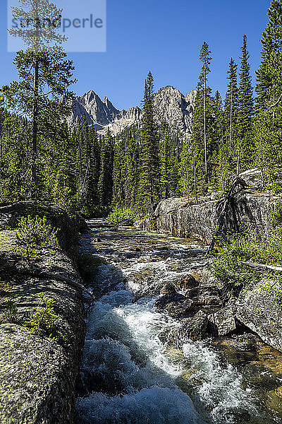 Fluss und Wald bei den Sawtooth Mountains in Stanley  Idaho  USA
