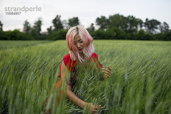 Frau mit rosa Haaren und rotem Kleid in einem Weizenfeld