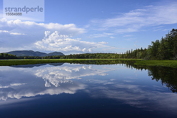 Wolken spiegeln sich im See im Acadia National Park  USA