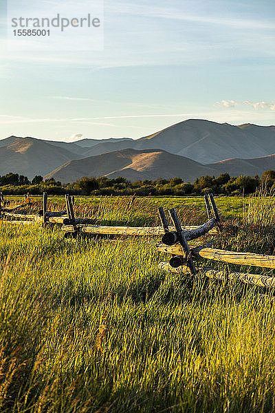 Zaun durch ein Feld in Picabo  Idaho  USA