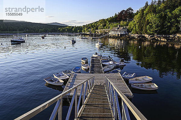 Steg am Seal Harbor  Acadia-Nationalpark  Mount Desert Island  USA