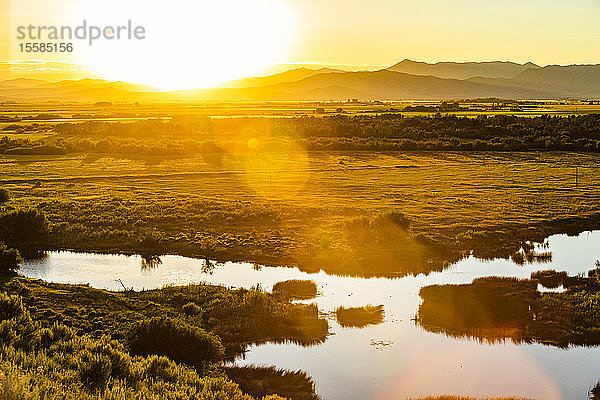 Fluss am Feld bei Sonnenuntergang in Picabo  Idaho  USA