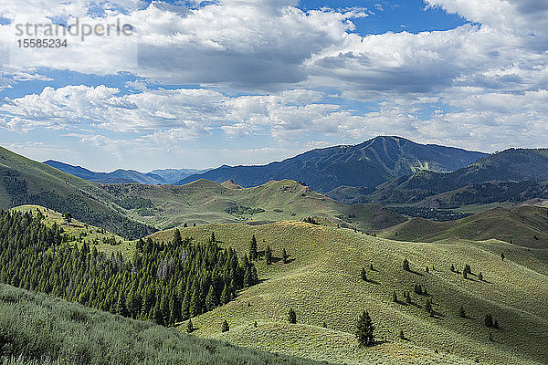 Grüne Hügel in Sun Valley  Idaho  USA