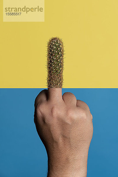 Studioaufnahme von der Hand des Mannes  die den Finger gibt  der Finger wird durch einen Kaktus ersetzt  vor einem gelb-blauen Hintergrund
