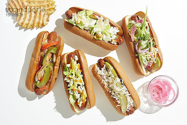 Auswahl an Hotdogs mit abwechslungsreicher Garnierung und Waffelpommes Frites  Draufsicht