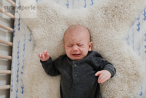 Baby weint  während es in der Krippe auf einem Schaffellteppich liegt  Draufsicht